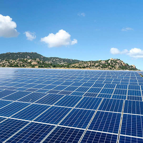 Empacadora Hacienda El Muro   Machala