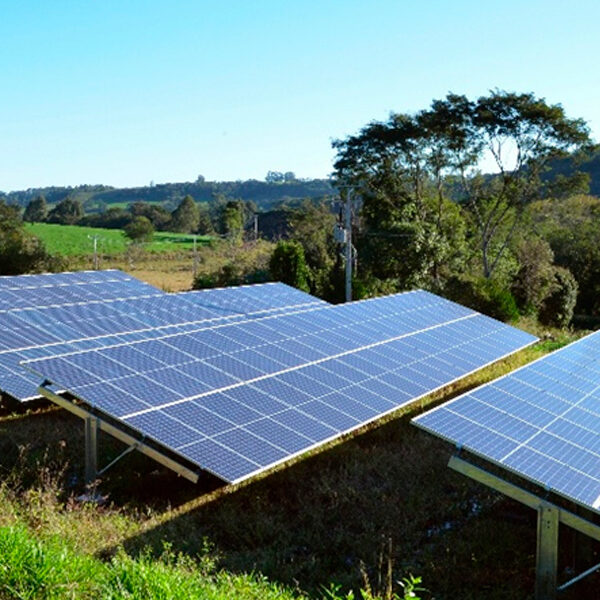 Hacienda Ganadera Monte Alto   Balzar