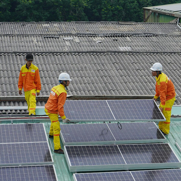 Avicola La Maria   Mocache